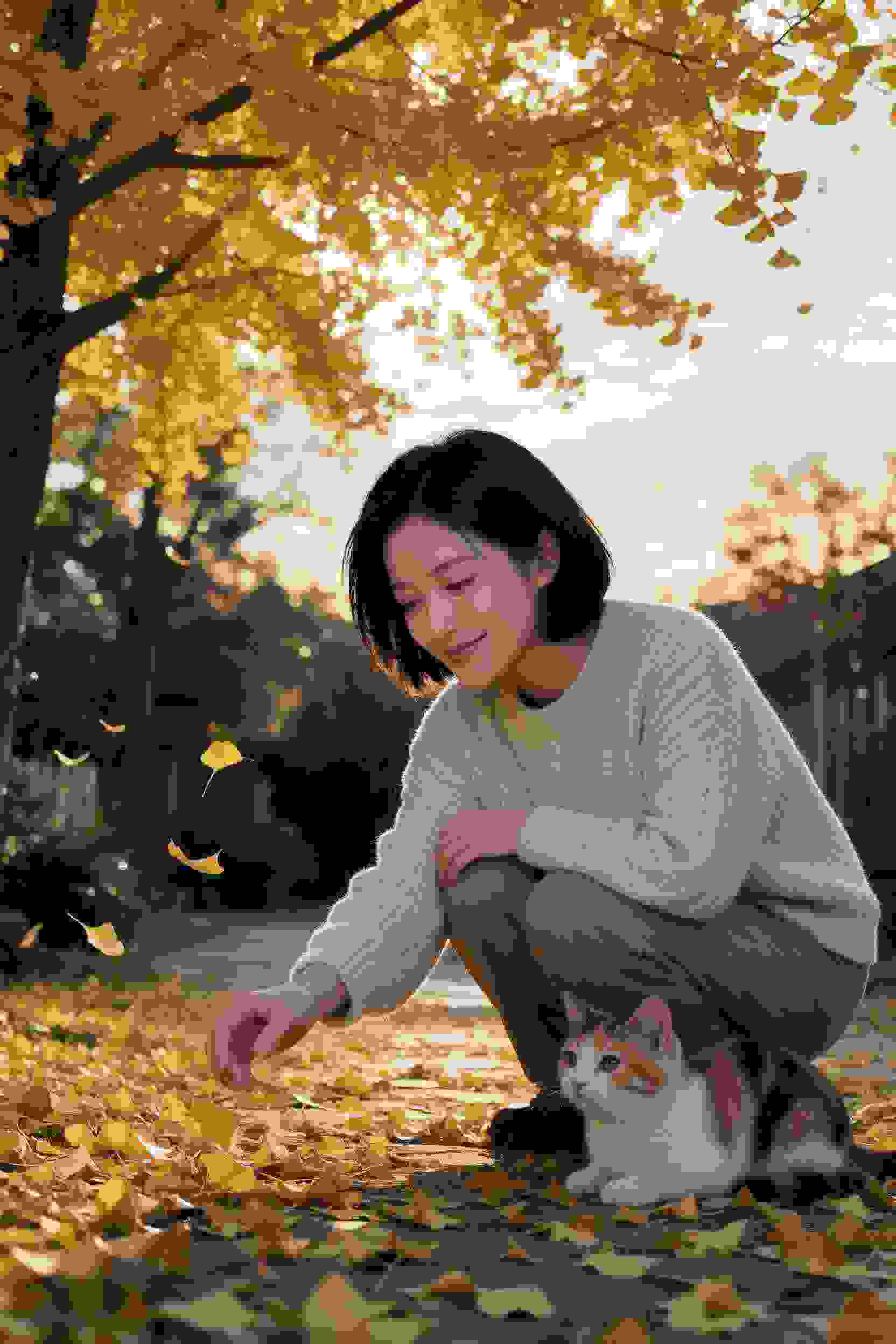 笨蛋测试召唤兽